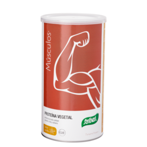 Proteína vegetal vainilla